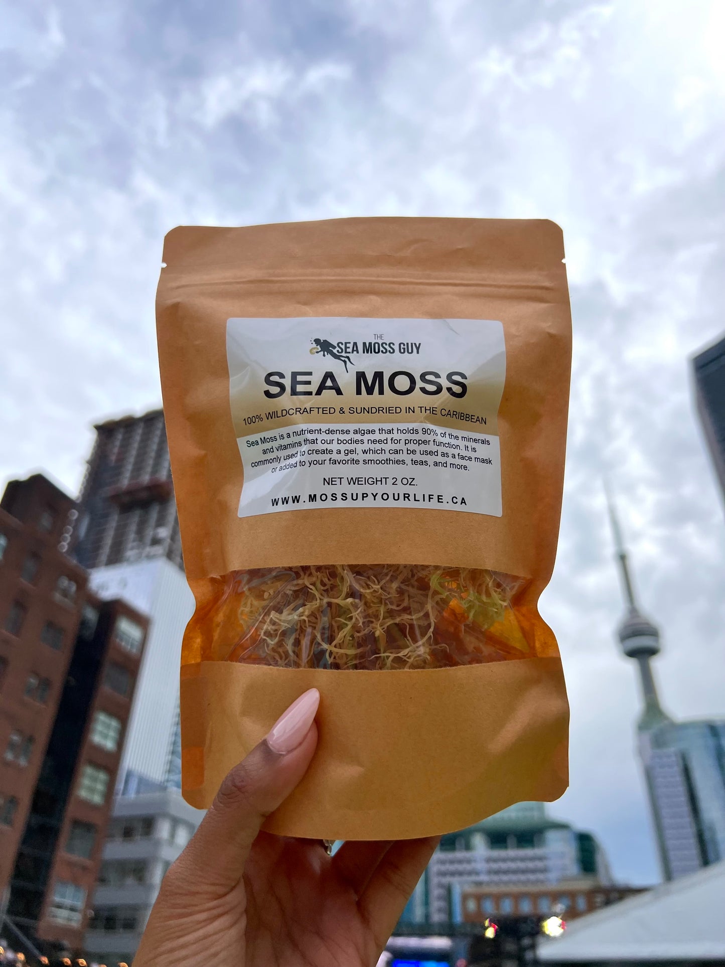 Dried Sea Moss by The Sea Moss Guy